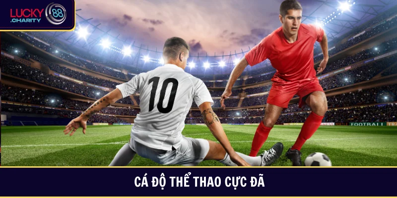 Cá độ thể thao với các trận cầu sôi động