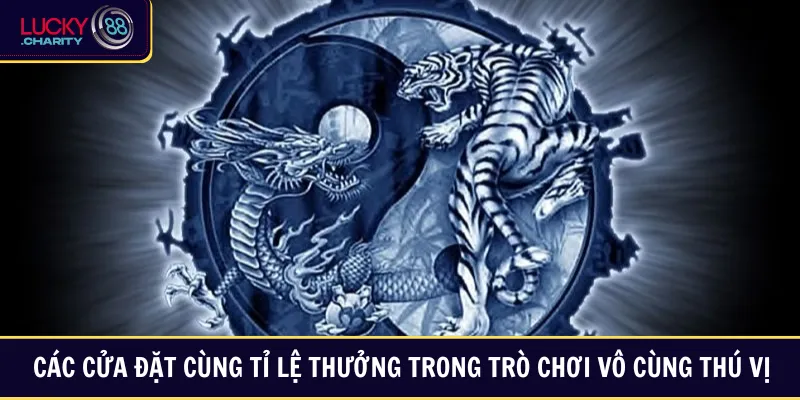 Các cửa đặt cùng tỉ lệ thưởng trong trò chơi vô cùng thú vị