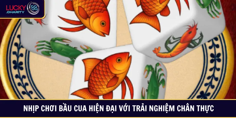 Nhịp chơi bầu cua hiện đại với trải nghiệm chân thực