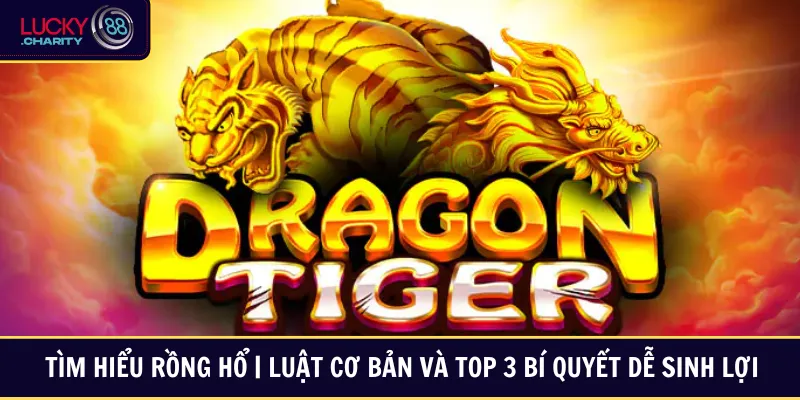 Tìm Hiểu Rồng Hổ | Luật Cơ Bản Và Top 3 Bí Quyết Dễ Sinh Lợi